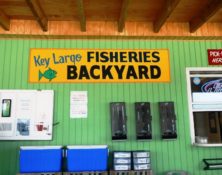 Key Largo Fisheries Backyard